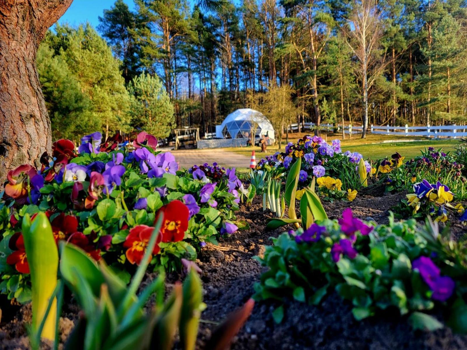 Glamping Pod Orlem Hotel Cedynia Kültér fotó