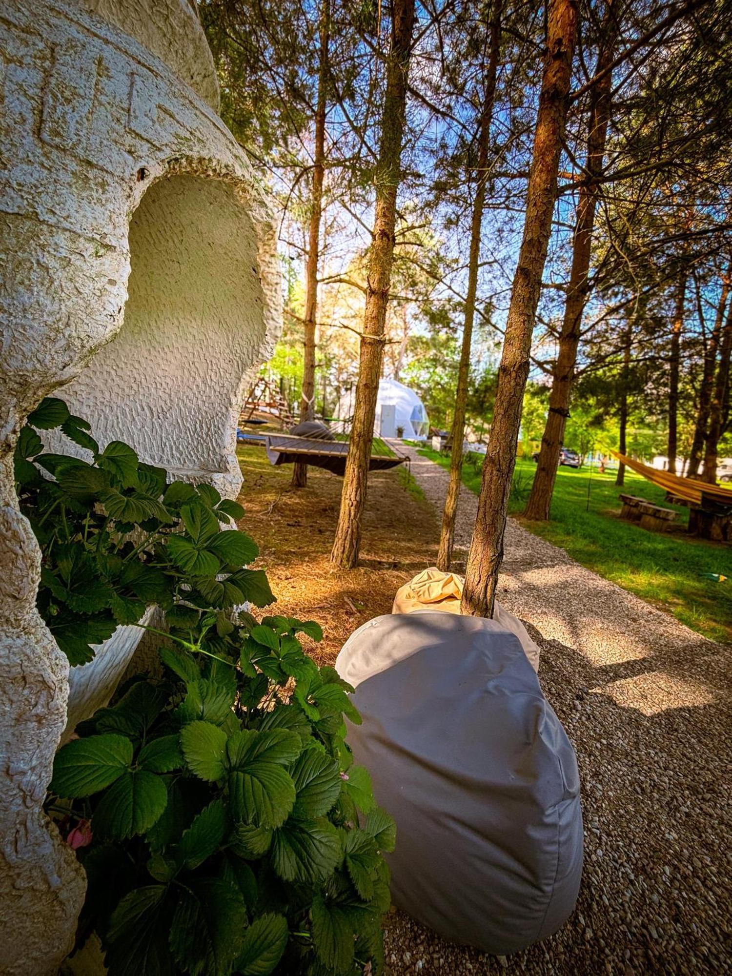 Glamping Pod Orlem Hotel Cedynia Kültér fotó