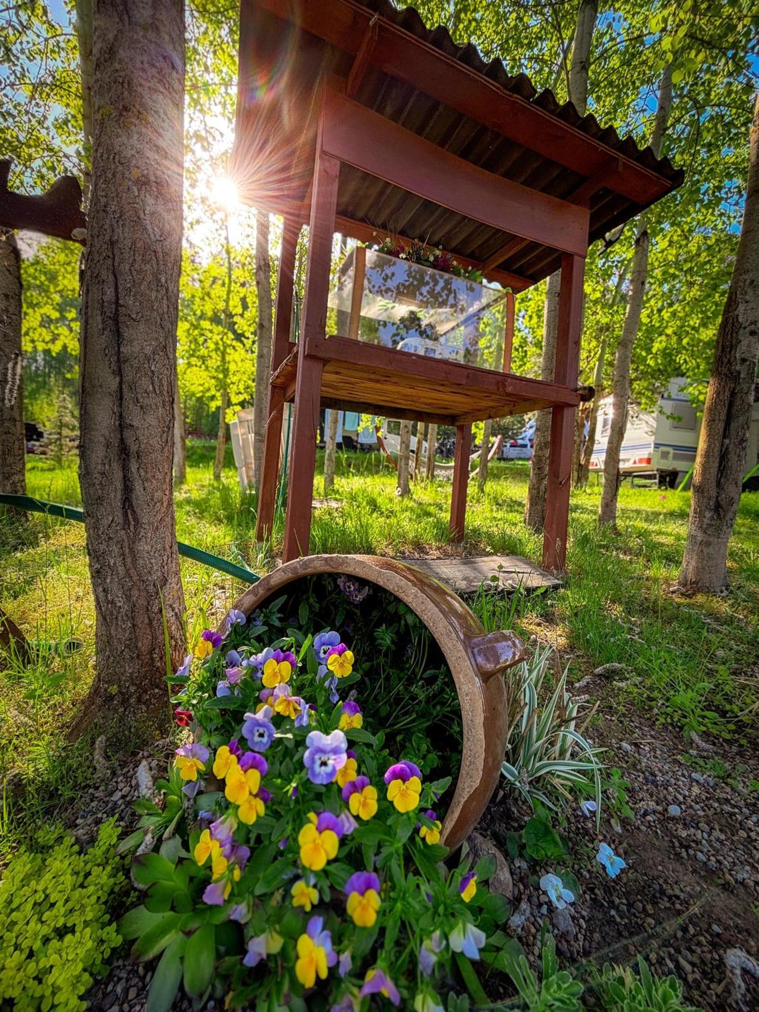 Glamping Pod Orlem Hotel Cedynia Kültér fotó