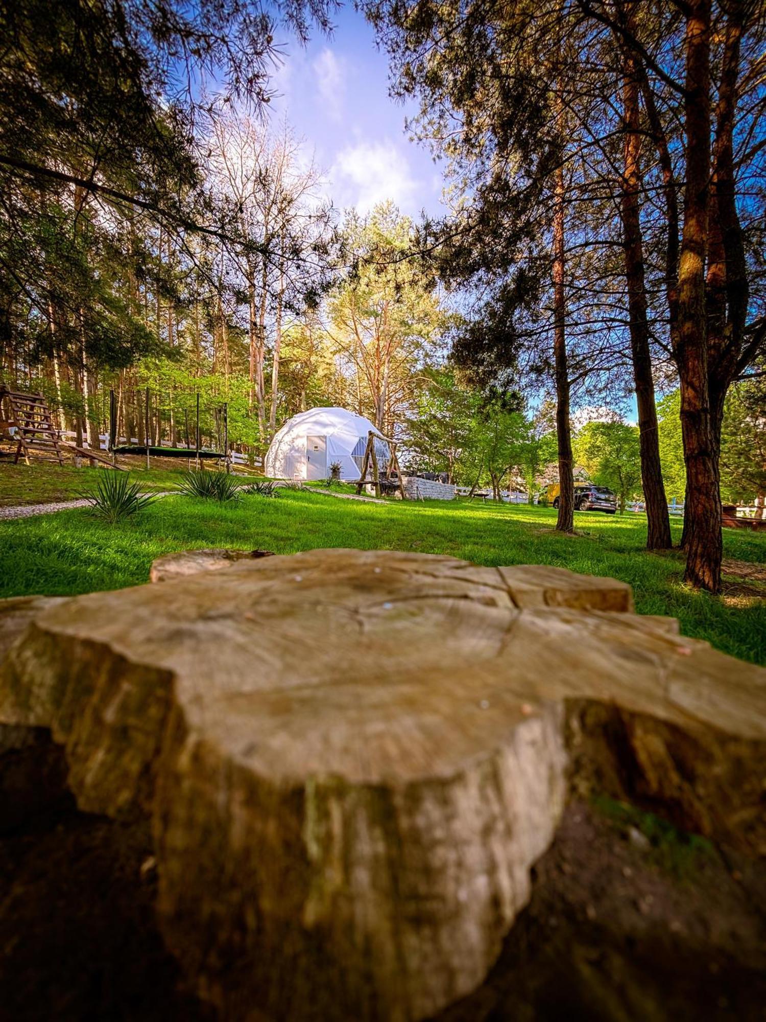 Glamping Pod Orlem Hotel Cedynia Kültér fotó